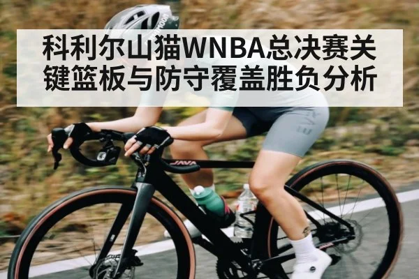 科利尔山猫WNBA总决赛关键篮板与防守覆盖胜负分析