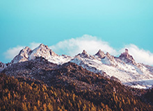 亚博体育APP：让体育竞猜更有温度的智能体验